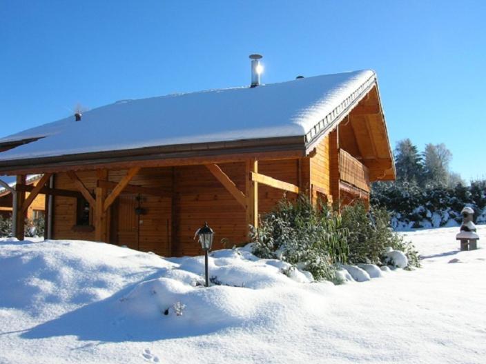 Saint-Nabord Chalet Les Ecureuils מראה חיצוני תמונה