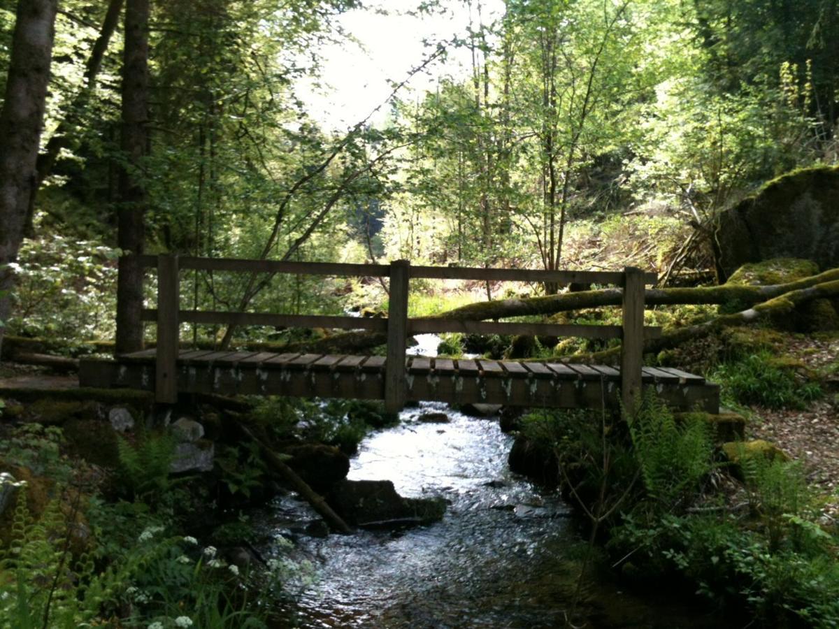Saint-Nabord Chalet Les Ecureuils מראה חיצוני תמונה